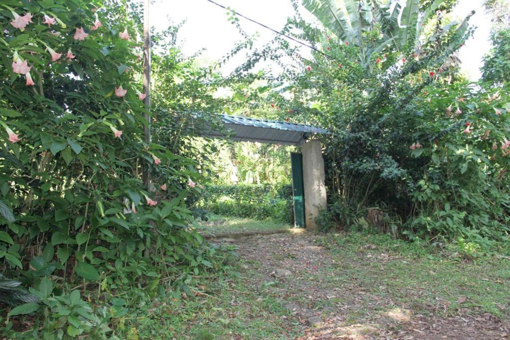 Вилла Bema Farm Sao Jose Экстерьер фото