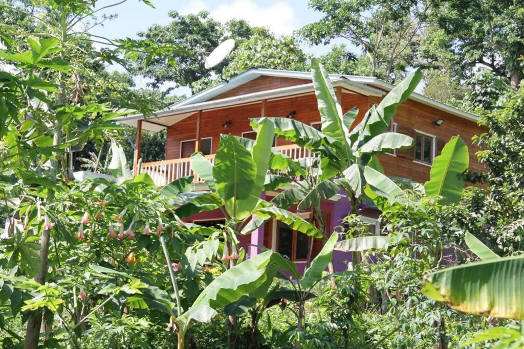 Вилла Bema Farm Sao Jose Экстерьер фото